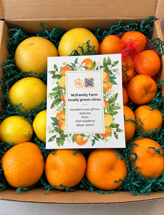 Variety Gift Box