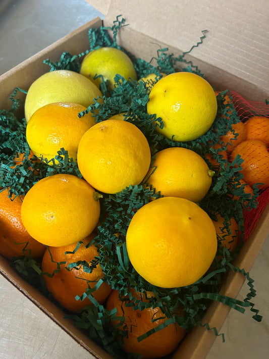 Coming Again Soon- Variety Gift Box