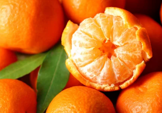 Coming Again Soon - Kishu Mandarin