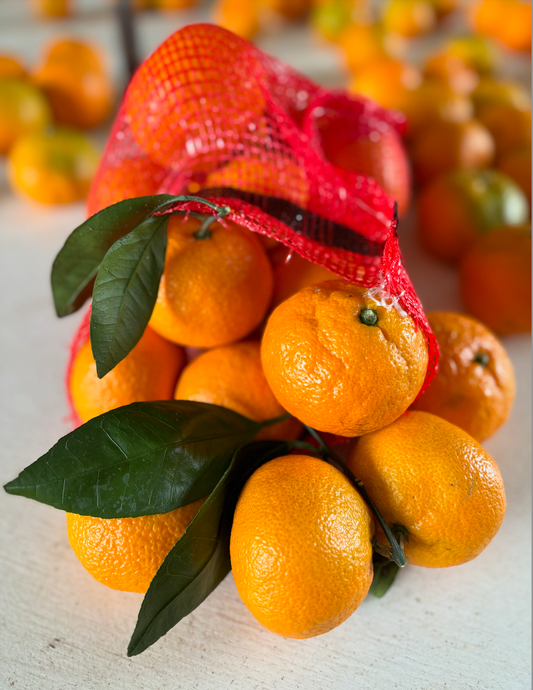 Coming Again Soon - Satsuma Mandarin